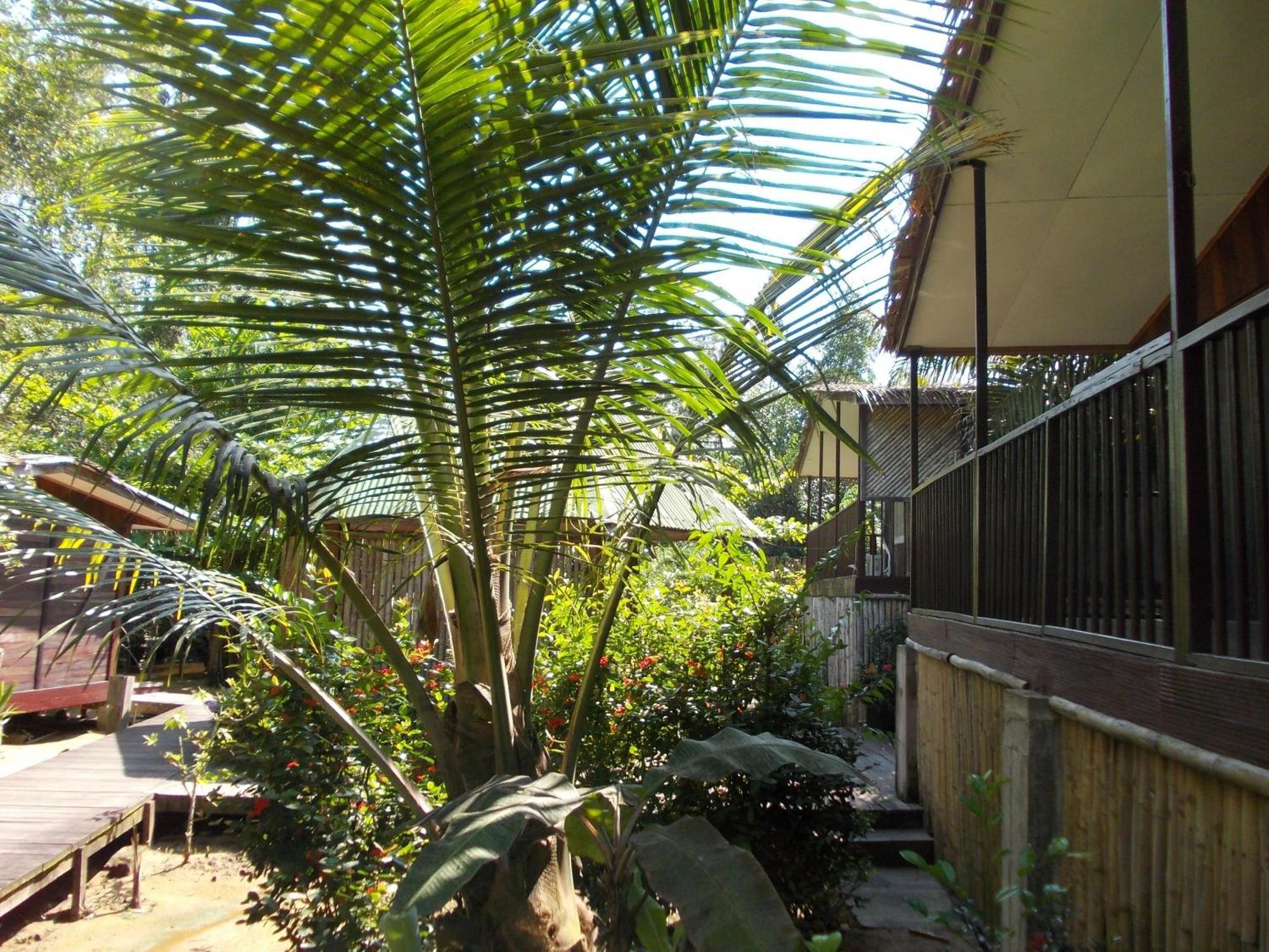Hotel Restaurant Gites Kribi Εξωτερικό φωτογραφία